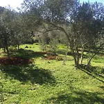 Vila Viva ~ Brks Guest house 3*