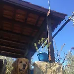 Vila Viva ~ Brks 3* Poljana (Ugljan)