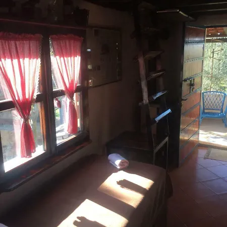 Penzion Vila Viva ~ Brks Poljana (Ugljan)