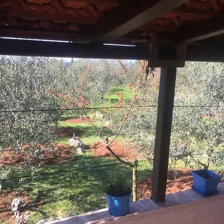Vila Viva ~ Brks Poljana (Ugljan)