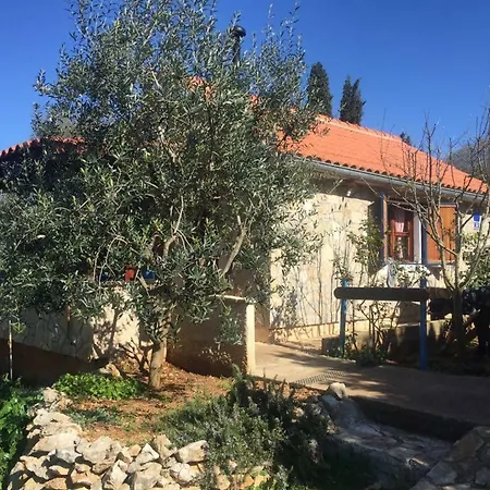 Vila Viva ~ Brks 게스트하우스