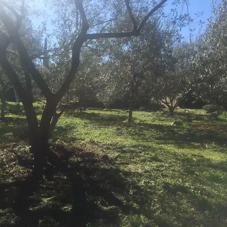 게스트하우스 Vila Viva ~ Brks 3*