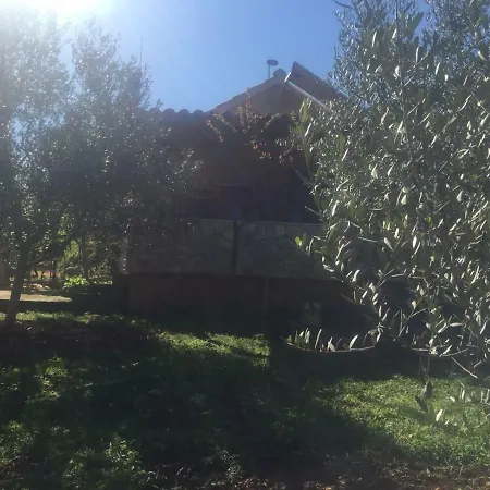 Гостевой дом Vila Viva ~ Brks