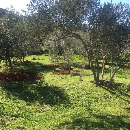 Vila Viva ~ Brks Gostinjska kuća 3*