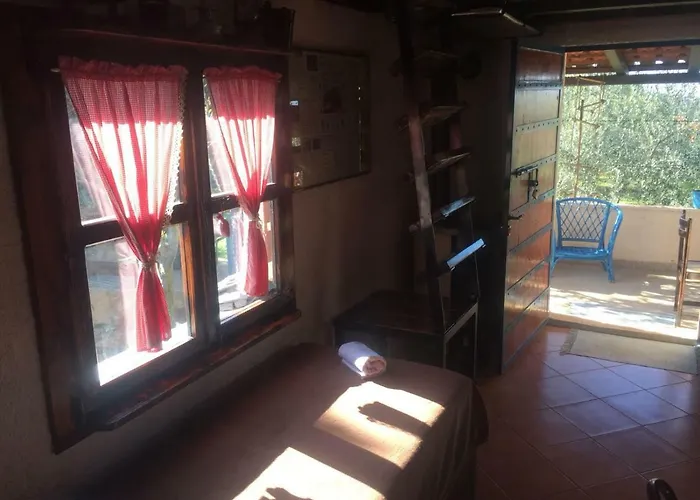 게스트하우스 Vila Viva ~ Brks Poljana (Ugljan)