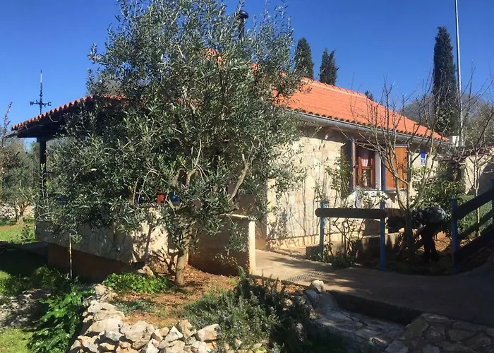 Vila Viva ~ Brks 게스트하우스