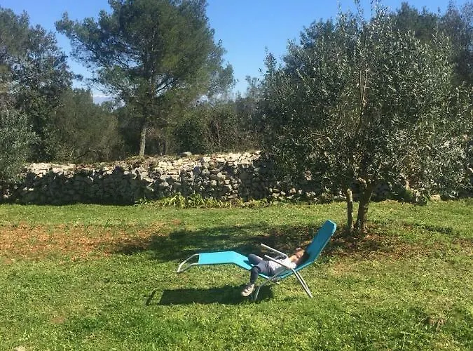 게스트하우스 Vila Viva ~ Brks Poljana (Ugljan)