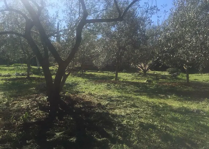 게스트하우스 Vila Viva ~ Brks 3*