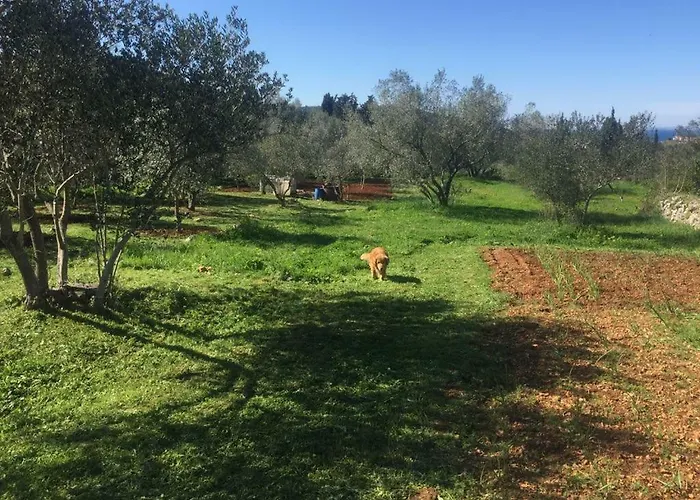 Vila Viva ~ Brks 게스트하우스 Poljana (Ugljan)