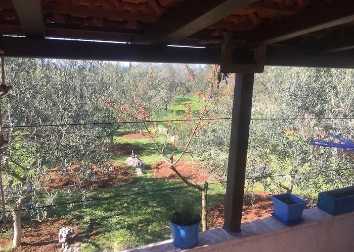 Vila Viva ~ Brks Poljana (Ugljan)