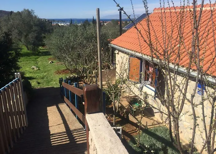 게스트하우스 Vila Viva ~ Brks 3*