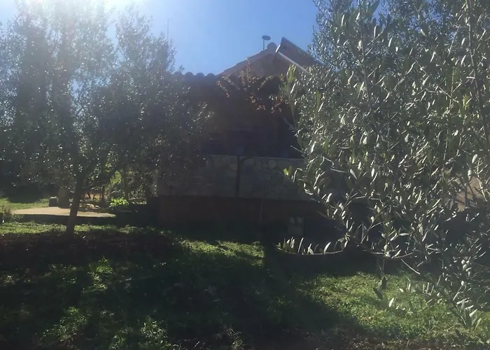 게스트하우스 Vila Viva ~ Brks