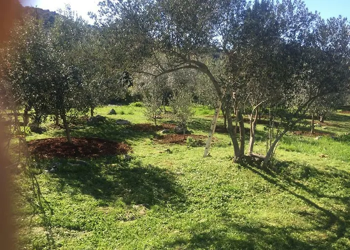 Vila Viva ~ Brks 게스트하우스 3*