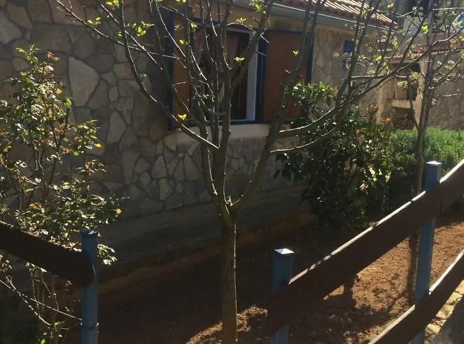 Vila Viva ~ Brks 게스트하우스