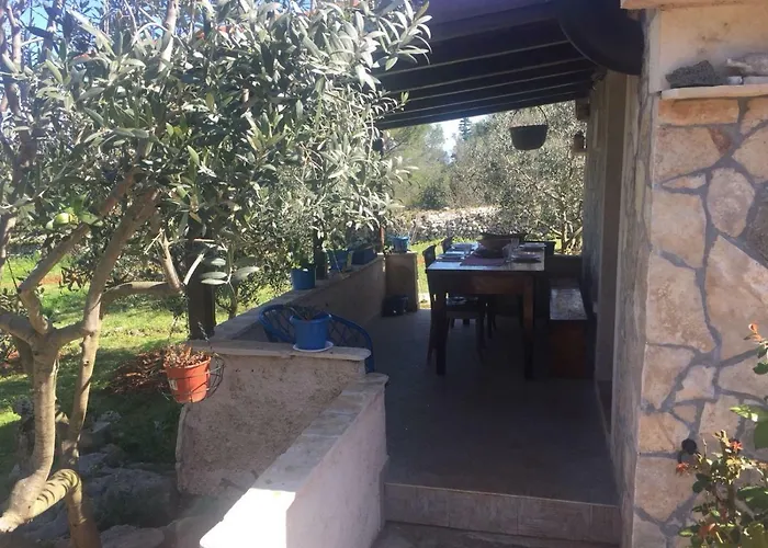 게스트하우스 Vila Viva ~ Brks