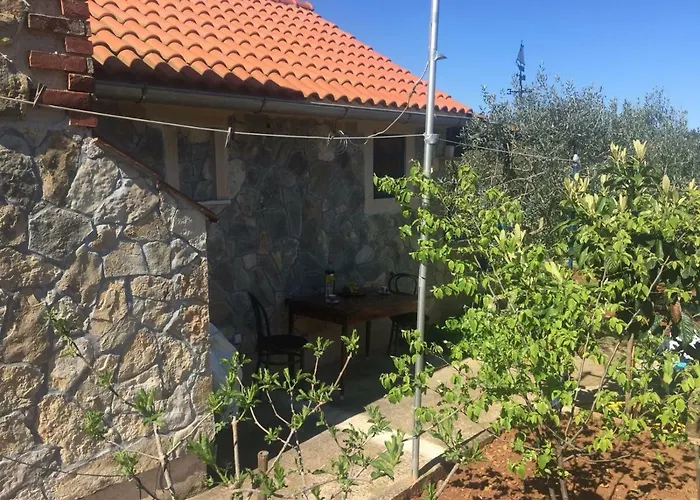 게스트하우스 Vila Viva ~ Brks 3*