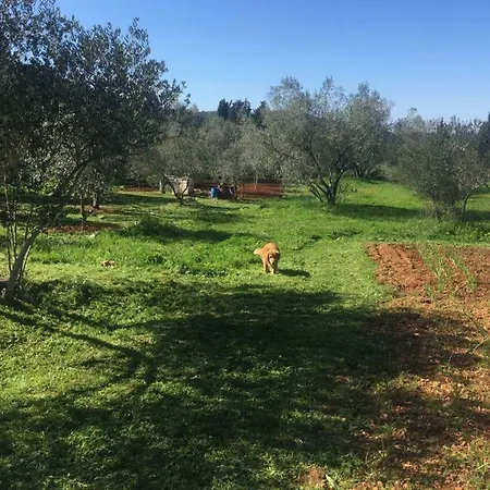 Vila Viva ~ Brks Pensión Poljana (Ugljan)